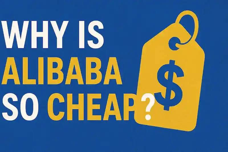 Why Is Alibaba So Cheap? A Complete Guide for International Buyers